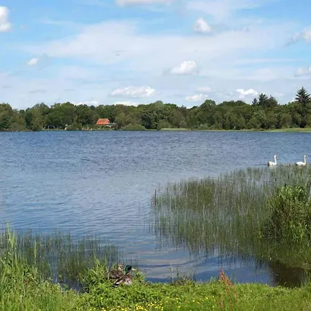 8 Person In Ansager-by Traum Ansager