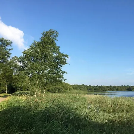 8 Person In Ansager-by Traum Ansager