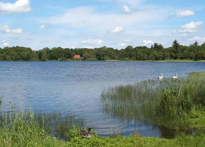 8 Person In Ansager-by Traum Ansager