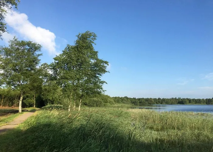 8 Person In Ansager-by Traum Ansager